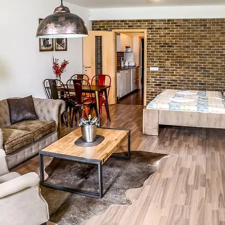 V Orlickych Horach Apartment Ricky (Hradec Kralove)