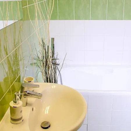 V Orlickych Horach Apartment *